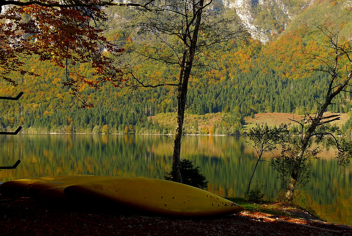 Bohinj Lake